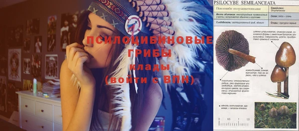 герыч Верея