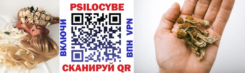 Купить  Мензелинск  Галлюциногенные грибы Psilocybine cubensis 